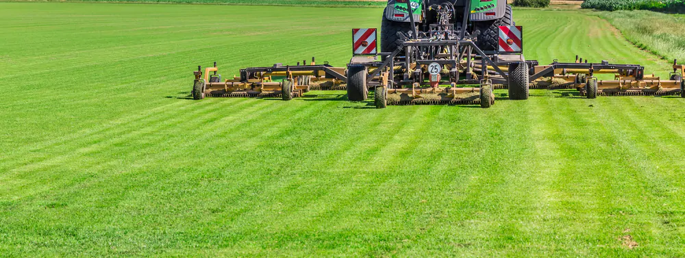 Choosing the Right Industrial Mower