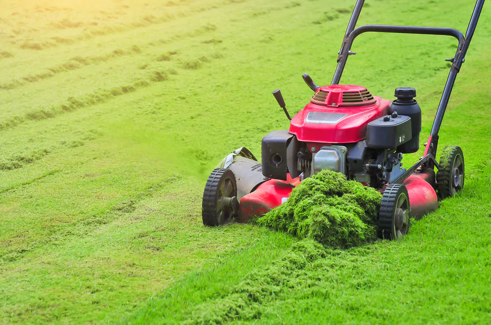 Elevate your turf maintenance with a Wiedenmann